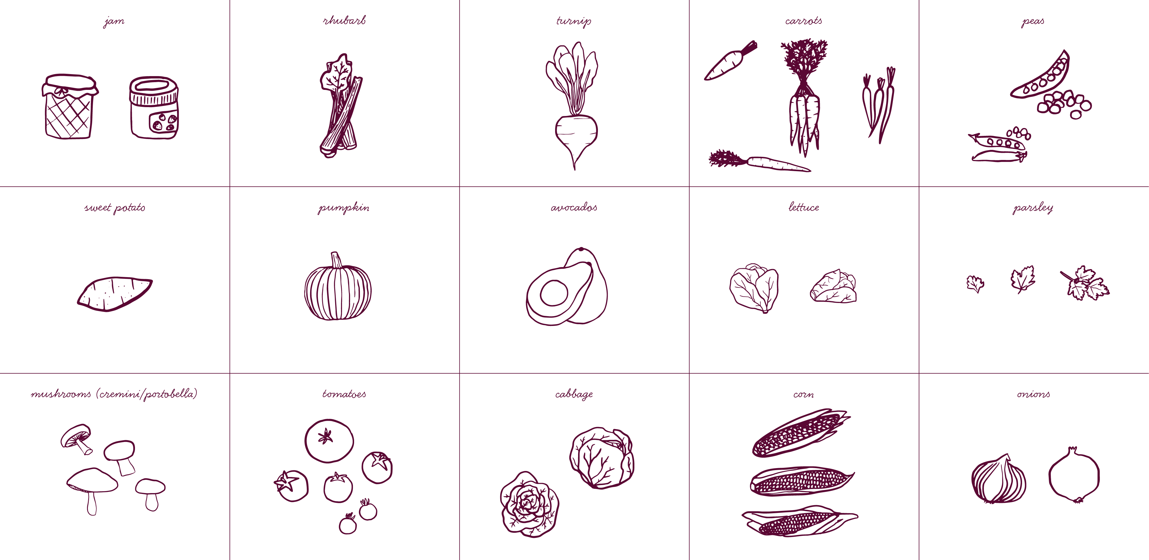 PieBird_Illustrations_02