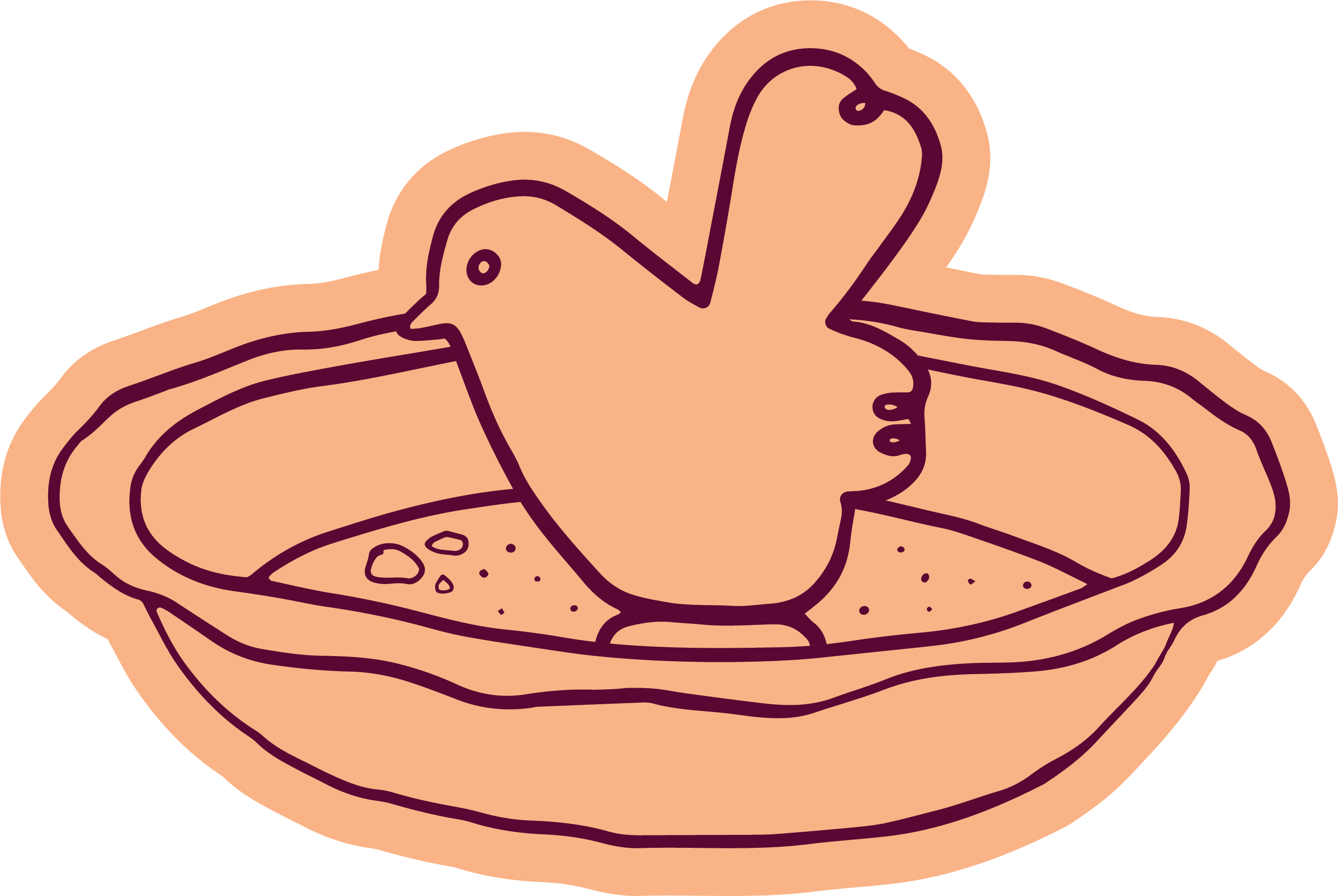Piebird-2