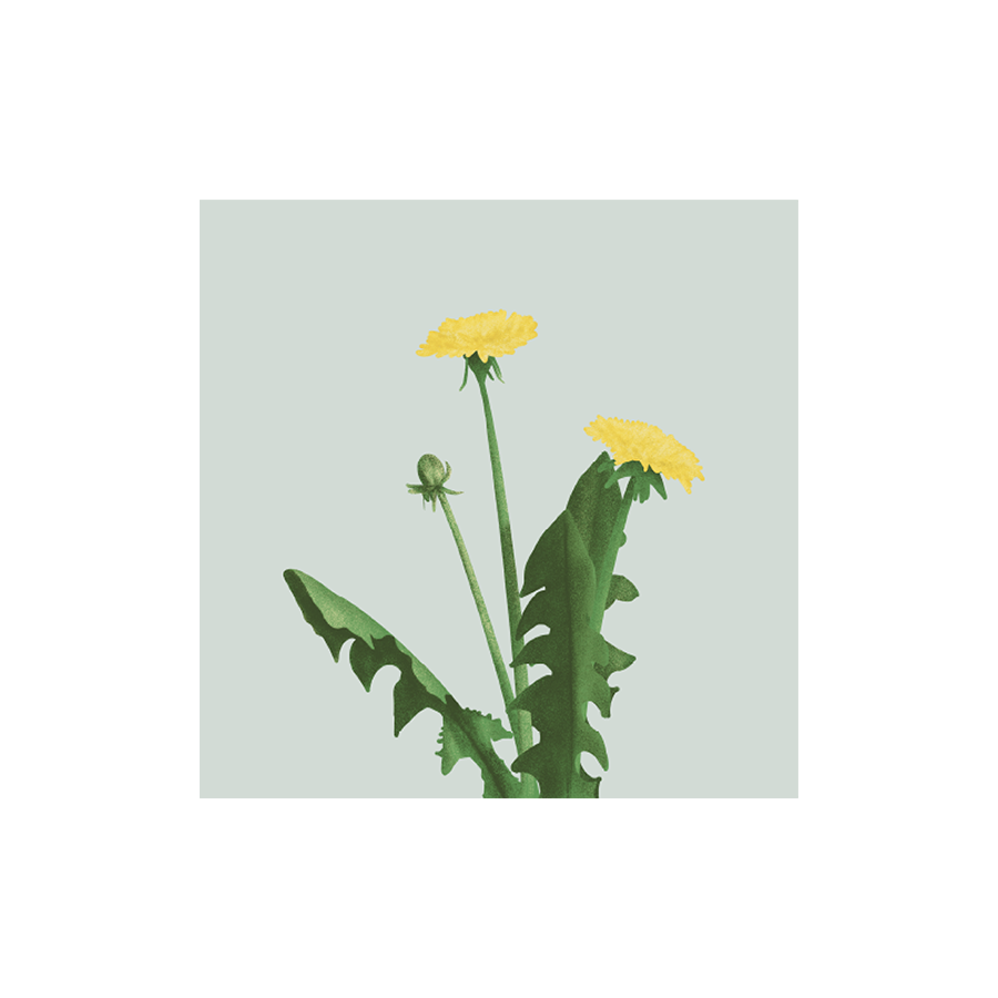 Portfolio Grid_Illustration